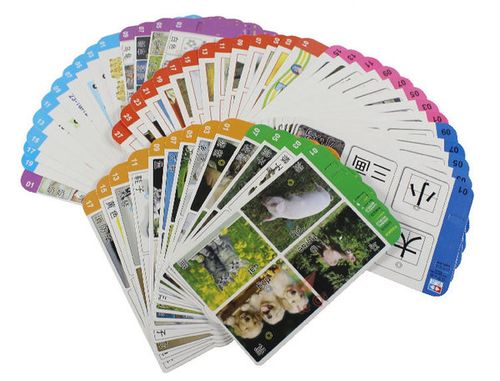 探索雙語啟蒙新境界 裕佳兒童學(xué)習(xí)機(jī)40張卡片深度評測